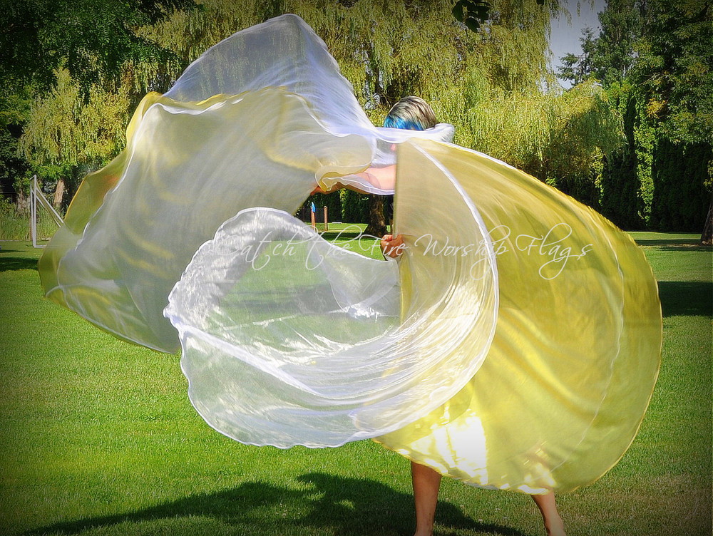 SHEKINAH GLORY Angel Wings 1 Pair Worship Flags Dancing For Him